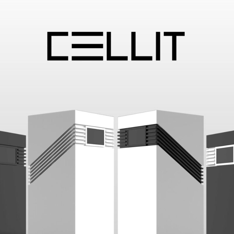 Alternative view of Cellit - obnovite svoje telo na celični ravni